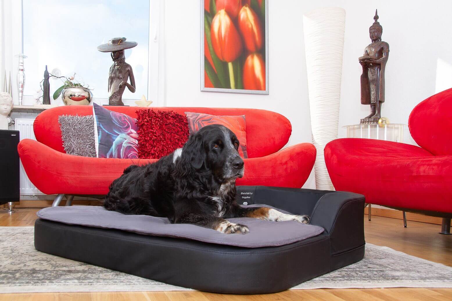 DoggyBed Hundekissen Medical Style Plus
